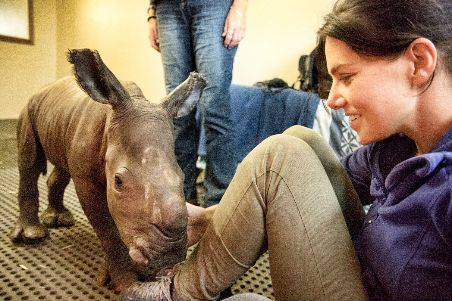 Bonn_de_Bod_rhino_orphan rhino blog