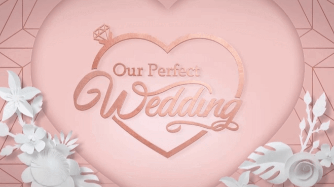 Our Perfect Wedding