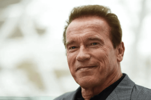 Arnold Schwarzenegger attacked in South Africa