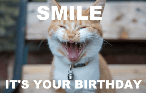 Best Funny birthday memes of 2019 in South Africa