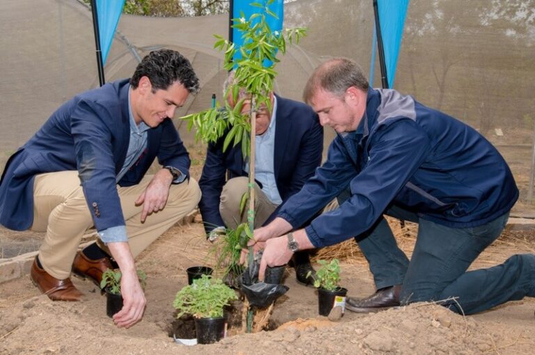 KLM Royal Dutch Airlines Vermeulen and Erik Swelheim Planting A Tree