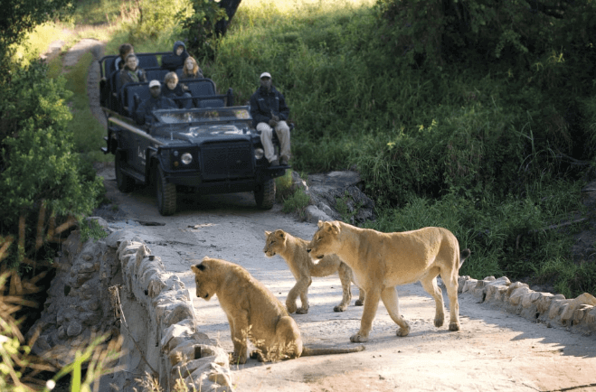 Kruger National Park in South Africa