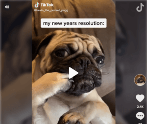TikTok users New Year 2020