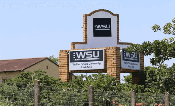WSU Status How To Check WSU Application Status