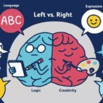 Right Brain, Left Brain Theory and Mental Health