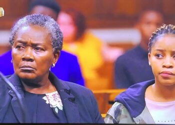 Sandra Stein defends Sonto and Mazet in court