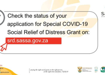 sassa status check R350 grant