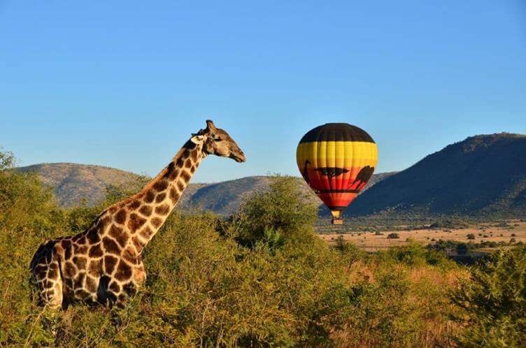 Scenic hot-air balloon flight over the Pilanesberg