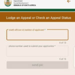 How to Check SASSA Appeal Status for SASSA SRD R350 Grant