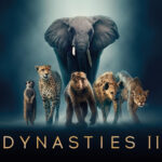 BBC Earth Dynasties II