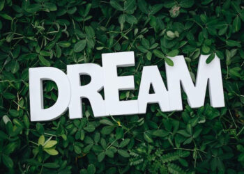 Lucky Numbers Dream Guide