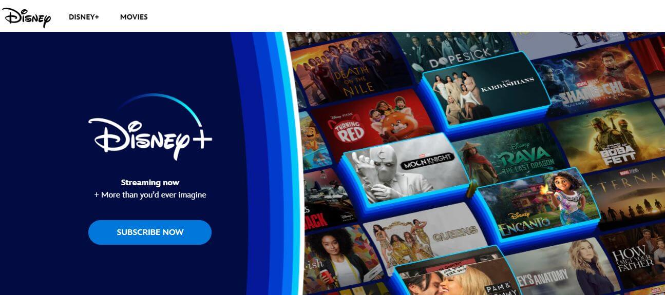 Disney Plus South Africa Channels