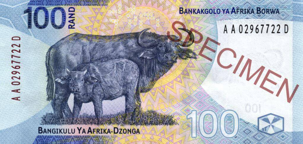 Back - Cape buffalo Sepedi - PANKA YA RESEFE YA AFRIKA BORWA Xitsonga - BANGINKULU YA AFRIKA-