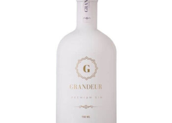 Grandeur Gin Price In South Africa