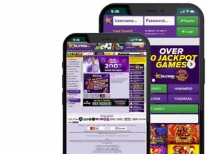 How to Install Hollywoodbets App South Africa