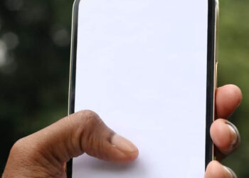SASSA Status Check for R350 Payment Dates for 2023