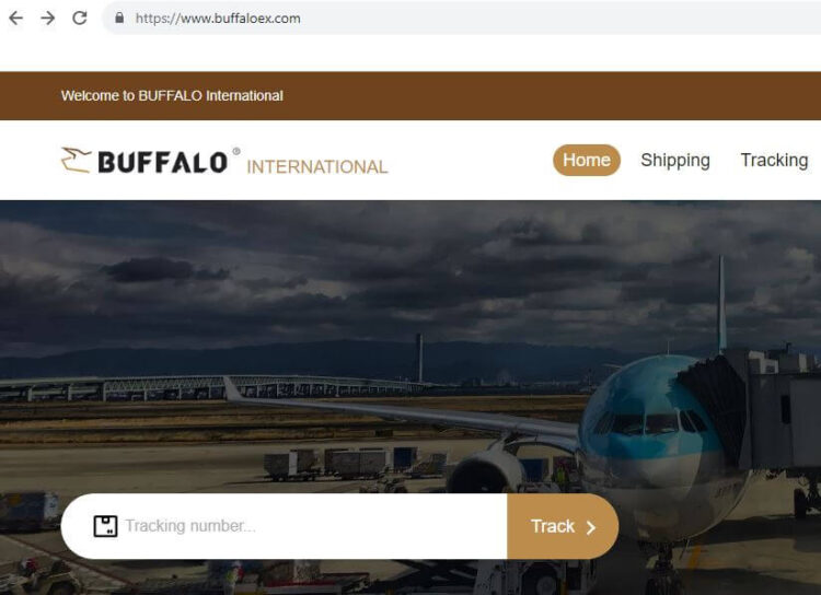 Buffalo Tracking South Africa