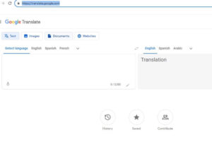 How to Use Google Translate in South Africa