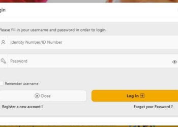 srd@sassa. gov. za login