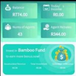 Is h5.bambooglobalization.com legit or scam in South Africa