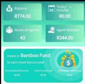 Is h5.bambooglobalization.com legit or scam in South Africa