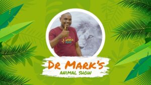 Dr Mark’s Animal Show Showmax