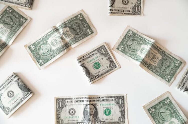 SSI SSDI VA Stimulus Check June 2024