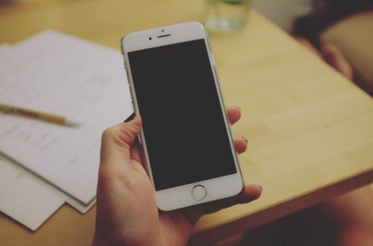 Hollywoodbets Mobile Login Register