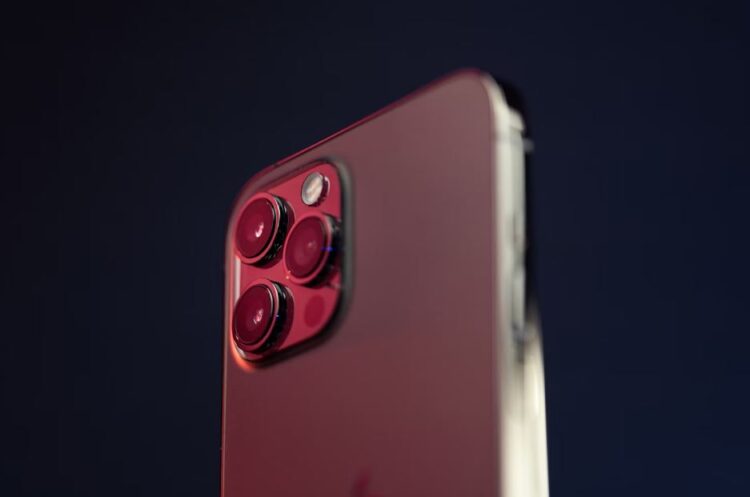 Supabets Login Register Online