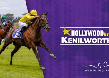 Hollywoodbets Kenilworth