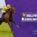 Hollywoodbets Kenilworth