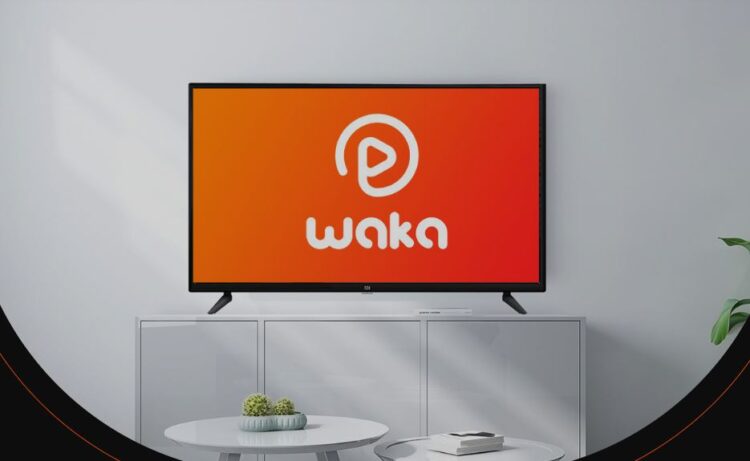 Waka TV South Africa