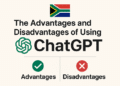 ChatGPT in South Africa
