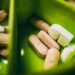 Top Supplements for Immune Support in 2025