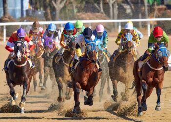 South Africa Horse Racing Tips