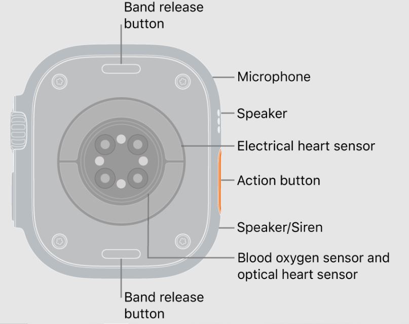 Apple Watch Series