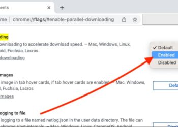 Parallel Downloading