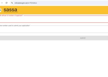 Sassa Status Check 19