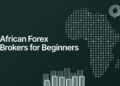African Forex Brokers For Beginners